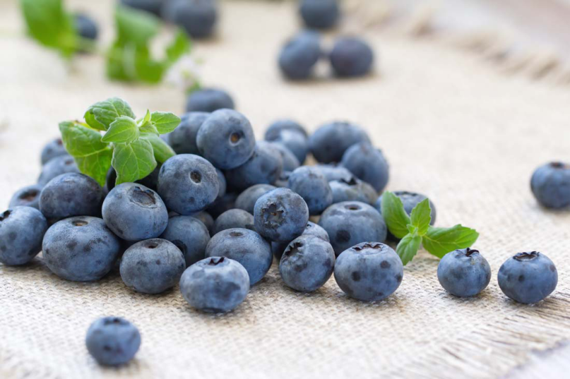 蓝莓的功效与作用 蓝莓的营养成分