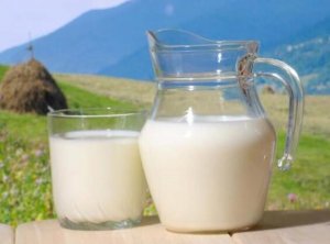 喝什么牛奶能长高 牛奶不能和什么药一起吃