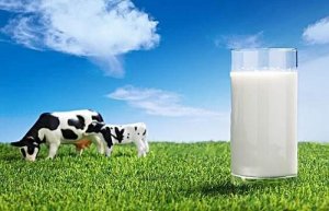 喝什么牛奶能长高 喝牛奶的四个最佳时间是什么