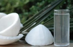椰子水的功效与作用是什么 椰子水含糖量高吗