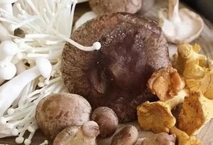 香菇能预防子宫颈癌真的吗 怎么挑选新鲜蘑菇