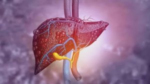 肝癌初期三处痒是什么 肝脏的功能有哪些