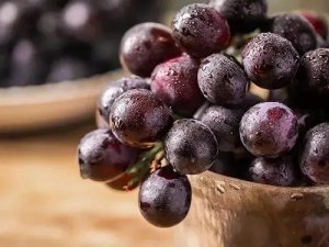 葡萄的营养价值及功效是什么 红提和葡萄哪个营养价值高