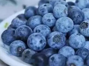 蓝莓是热性还是凉性 糖尿病人可以吃蓝莓吗