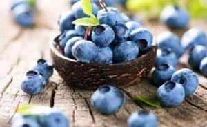 蓝莓的功效与作用是什么 吃蓝莓对子宫有好处吗
