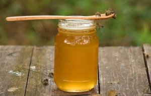 如何鉴别蜂蜜 龙眼蜂蜜的功效作用是什么