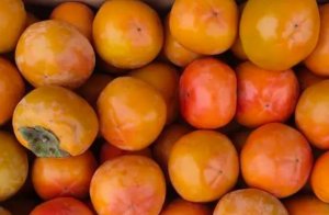 脆柿子的功效与禁忌是什么 脆柿子的皮可以吃吗