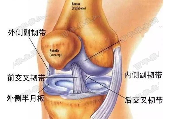 膝关节滑膜炎的诱发因素