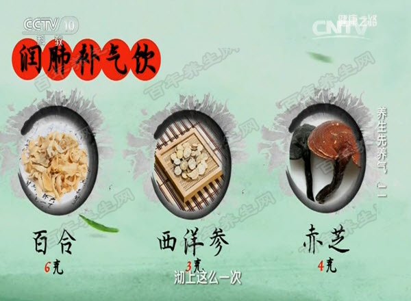 补肺气代茶饮