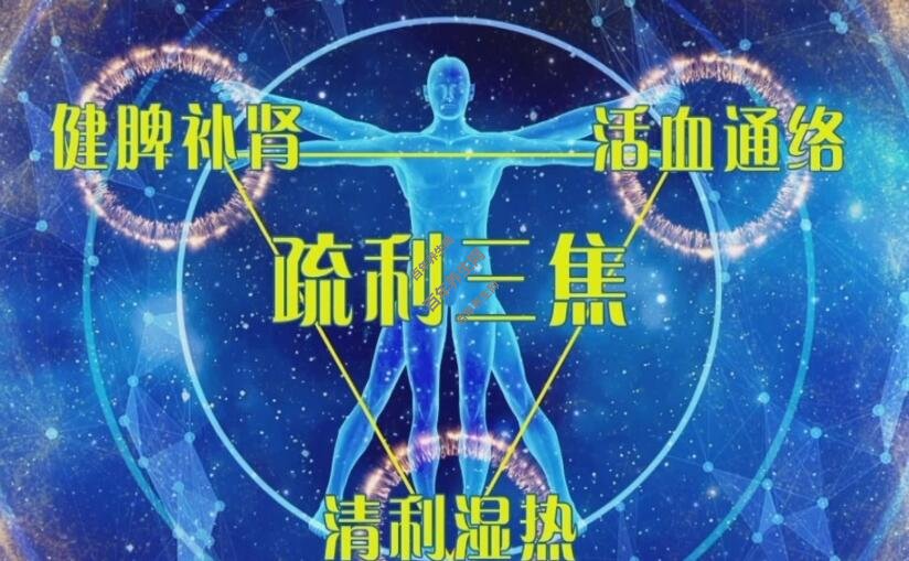 疏利三焦护肾脏