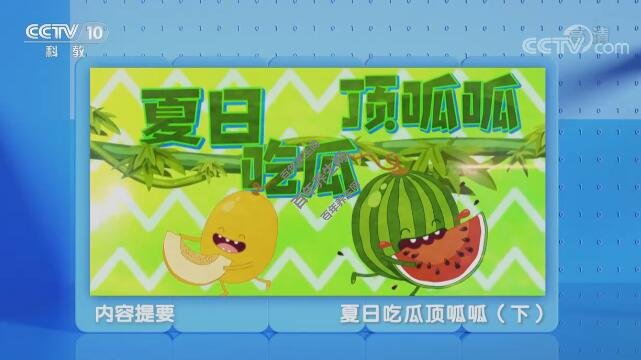 夏日吃瓜顶呱呱