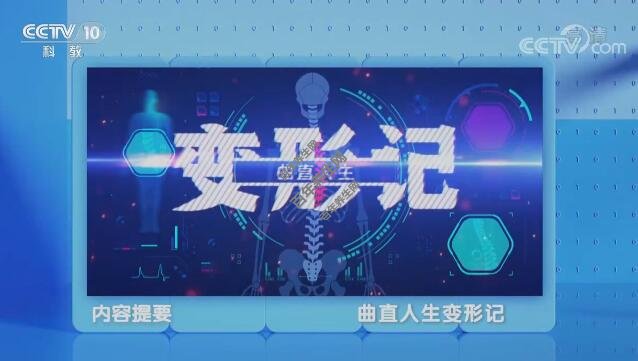 曲直人生变形记