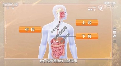 拉网法