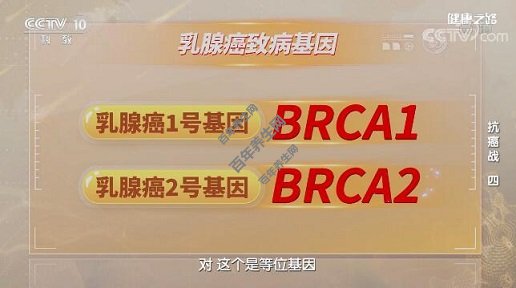 乳腺癌的致病基因——BRCA1和BRCA2