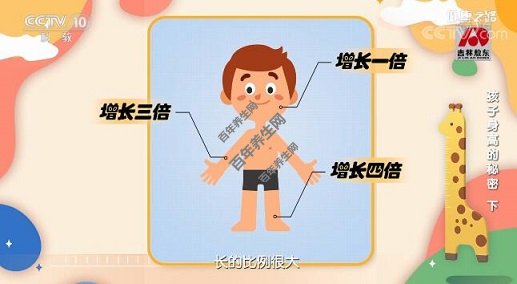 算身体比例看看孩子能不能长大个儿