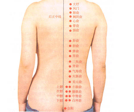 拔罐穴位图的操作方法 人体背部拔罐穴位图