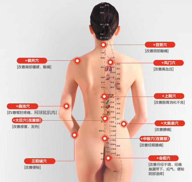 中医养生之经络养生 强壮身体养生祛病(2)