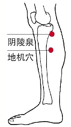 刮痧祛湿 重点刮7大养生穴位(3)