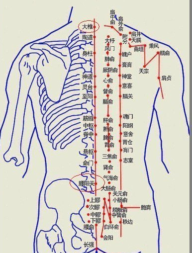 艾灸减肥穴位图的详细介绍