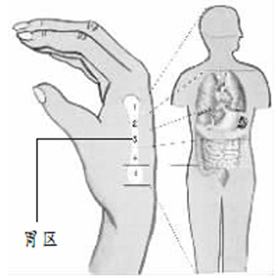 胃为水谷之海 刮手背健胃缓解胃疼气血通畅