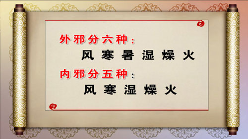 冬季养生先驱寒3,肾阳虚,王成祥,养生堂2013年01月24视频下载