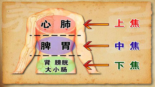 清代温病学家吴鞠通将人体“横向”地分为上、中、下三焦