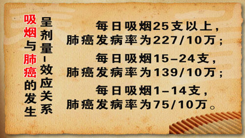 87%肺癌发病与死亡同吸烟相关