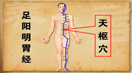 足阳明胃经上的天枢穴