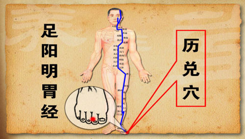 足阳明胃经上的历兑穴