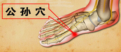 公孙穴位置图
