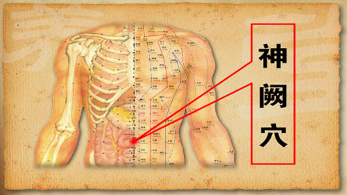 神阙穴位位置图