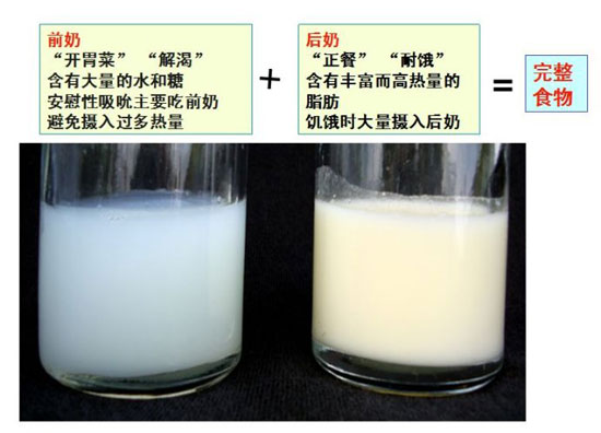 养生堂2013年9月30日视频,戴耀华,王山米,解密最完美食物,母乳喂养