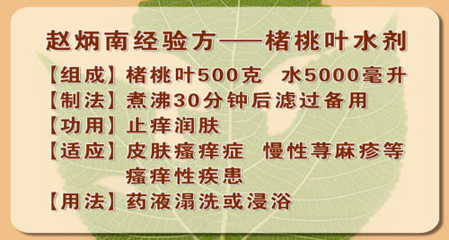 赵炳南老先生的经验方——楮桃叶水剂