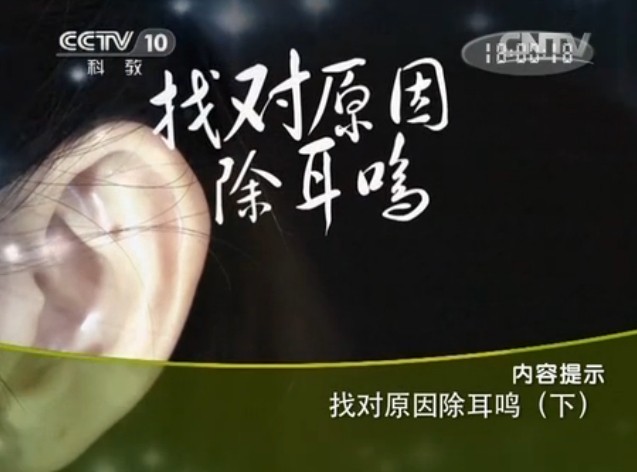 zdyycem2 CCTV10健康之路视频20140404找对原因除耳鸣2 李石良