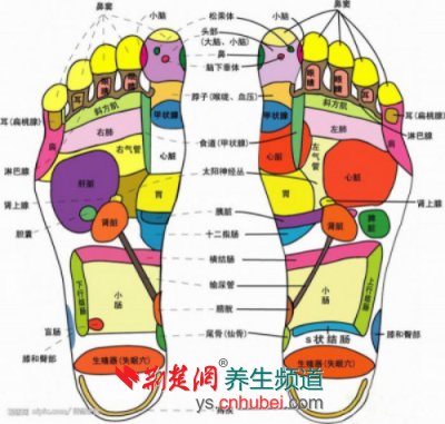 脚部15个信号透露健康情况