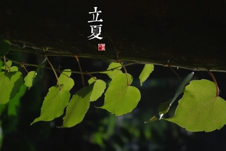 立夏的简介和气候特点