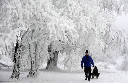 大雪的简介和由来