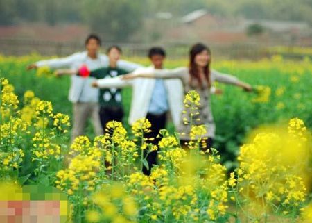 清明养生 重养阳气最关键