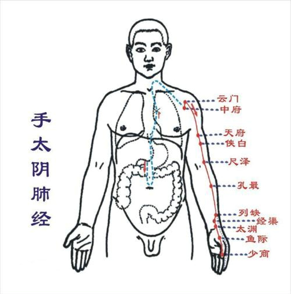 中医经络养生疗法 心包经让你怎么吃都不胖