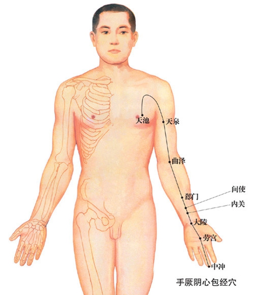 中医经络养生疗法 心包经让你怎么吃都不胖