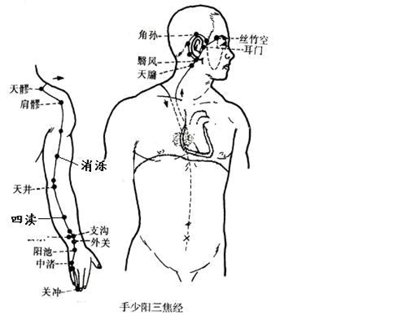 中医经络养生疗法 心包经让你怎么吃都不胖