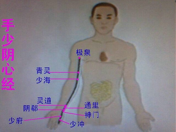 中医经络养生：五经络按摩养五脏