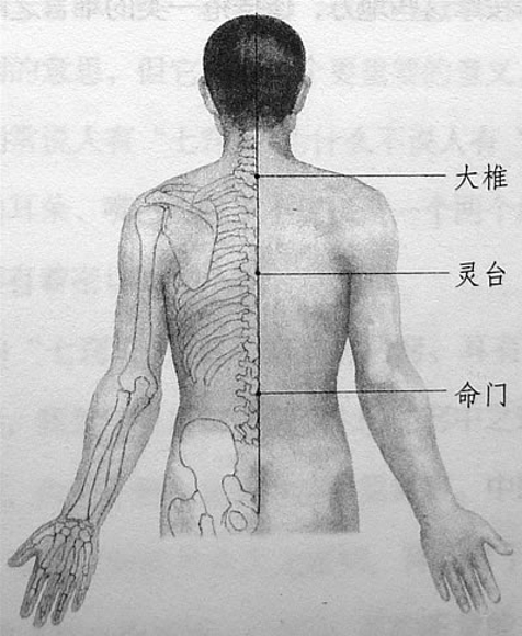 中医穴位按摩养生 6大穴位养气血