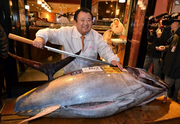 东京鱼市巨型金枪鱼拍出23万元 金枪鱼有什么功效