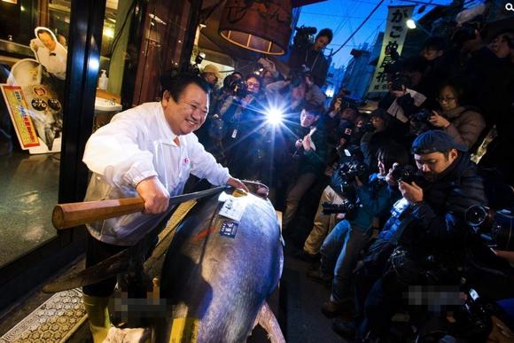 东京鱼市巨型金枪鱼拍出23万元 金枪鱼有什么功效
