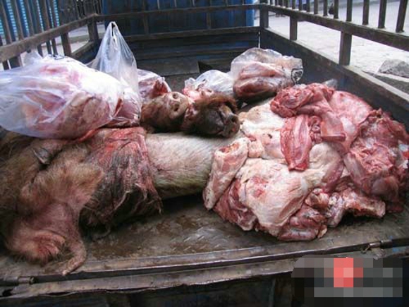 千余吨病死猪肉流入11省区 警惕病死猪肉带来的危害