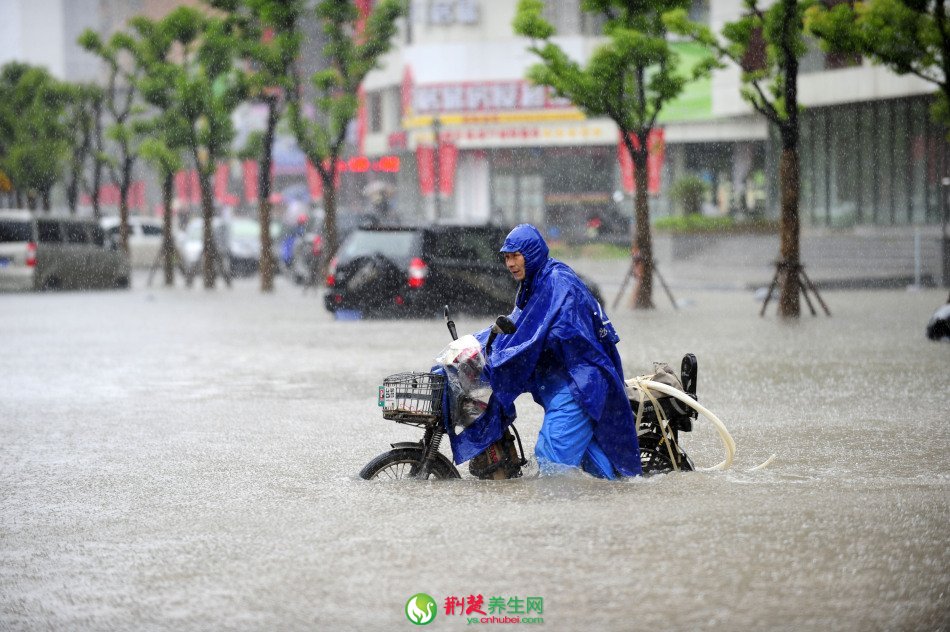 武汉暴雨积水多交通瘫痪水淹车(2)