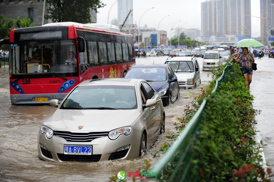 武汉暴雨积水多交通瘫痪水淹车(4)