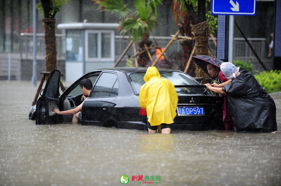 武汉暴雨积水多交通瘫痪水淹车(6)