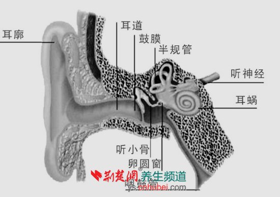 神经性耳鸣是什么